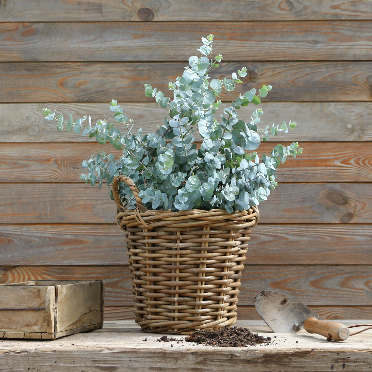 Übertopf aus Rattan (25 cm) "mit Griff"