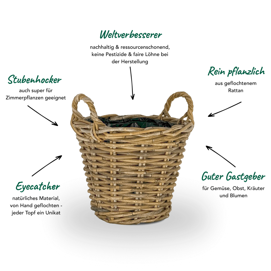 Übertopf aus Rattan (25 cm) "mit Griff"