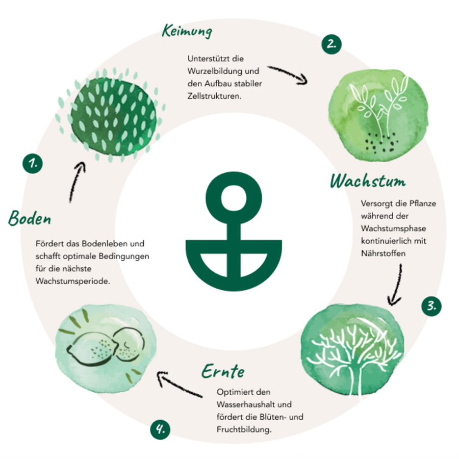 Bio Universal Pflanzendünger (5 kg)