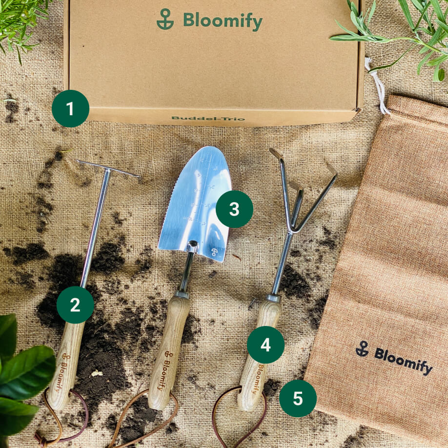 Werkzeugset "Buddel-Trio"