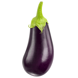 2 x Aubergine "Adalbert"