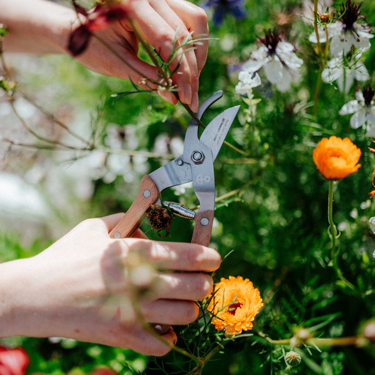 Gartenschere "Scharf & Schnittig"