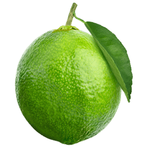 Mini Limette "Lucy"