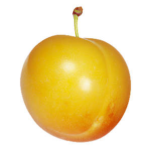 Mirabelle "Mira"