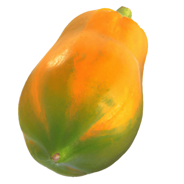 Papaya "Pedro"