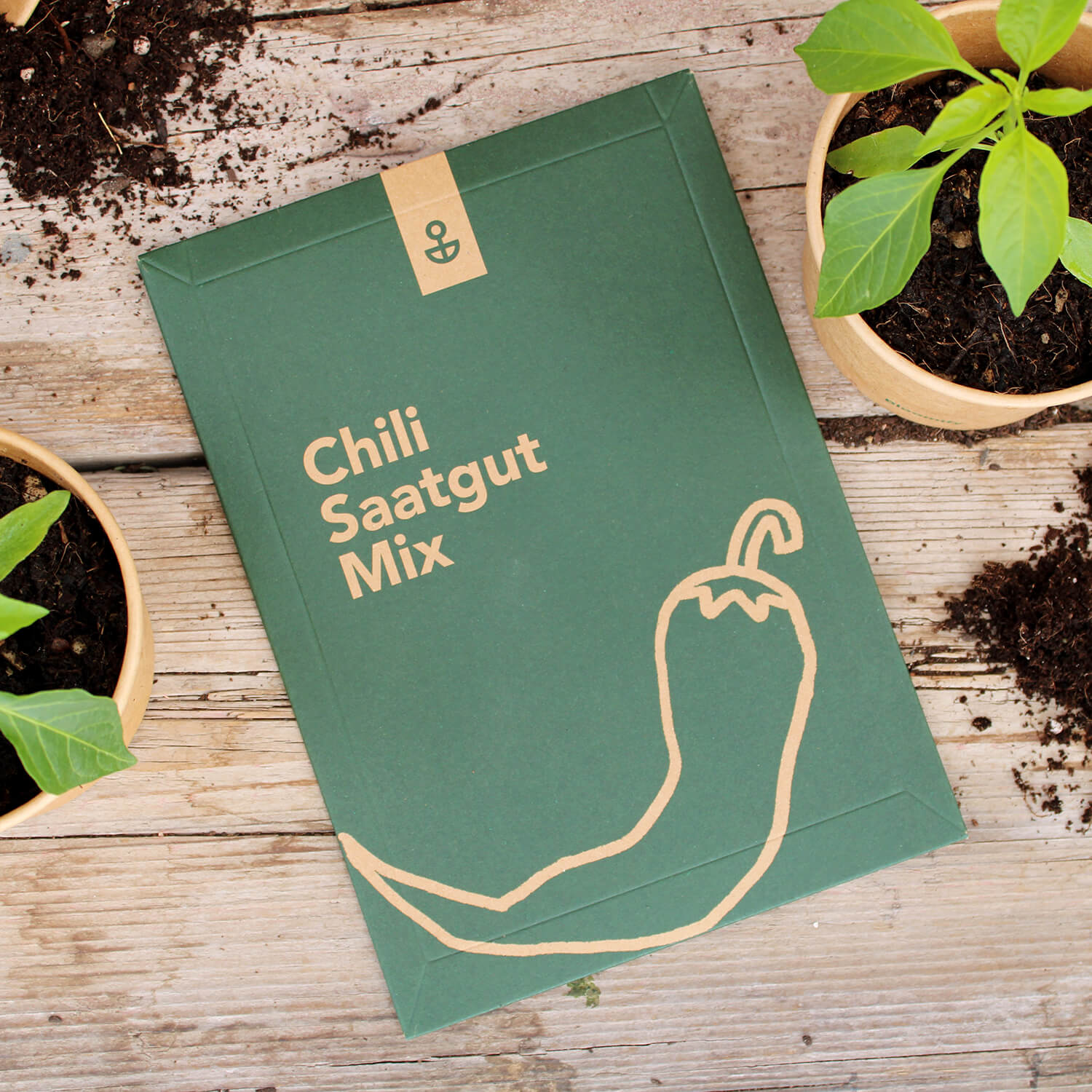Saatgut Mix "Chili"