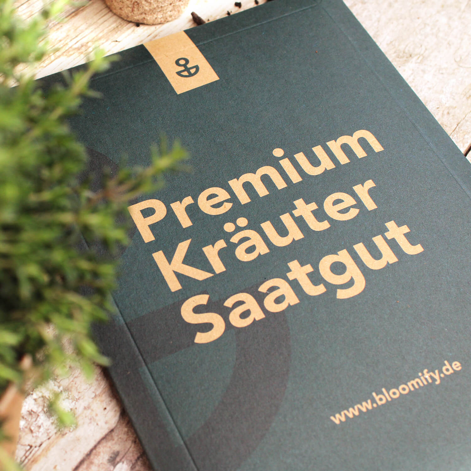 Kräuter Saatgut Box