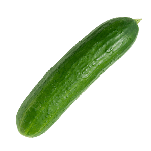 Snackgurke "Gisela"