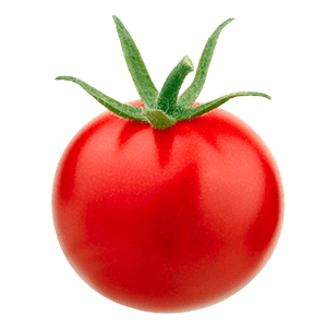 Mini Tomate "Tim"