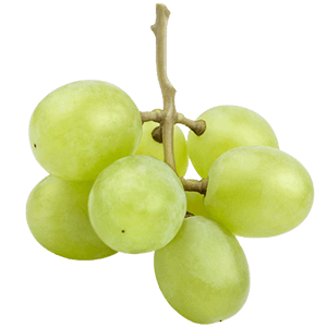 Weintraube grün "Waltraut" (Bio)