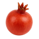 Zwerg-Granatapfel "Gloria"