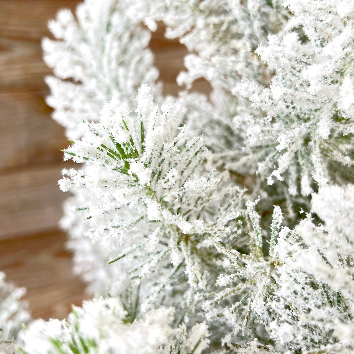 Zwergpinie mit Schnee "Pino"